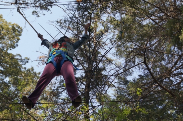 Hanging between branches 